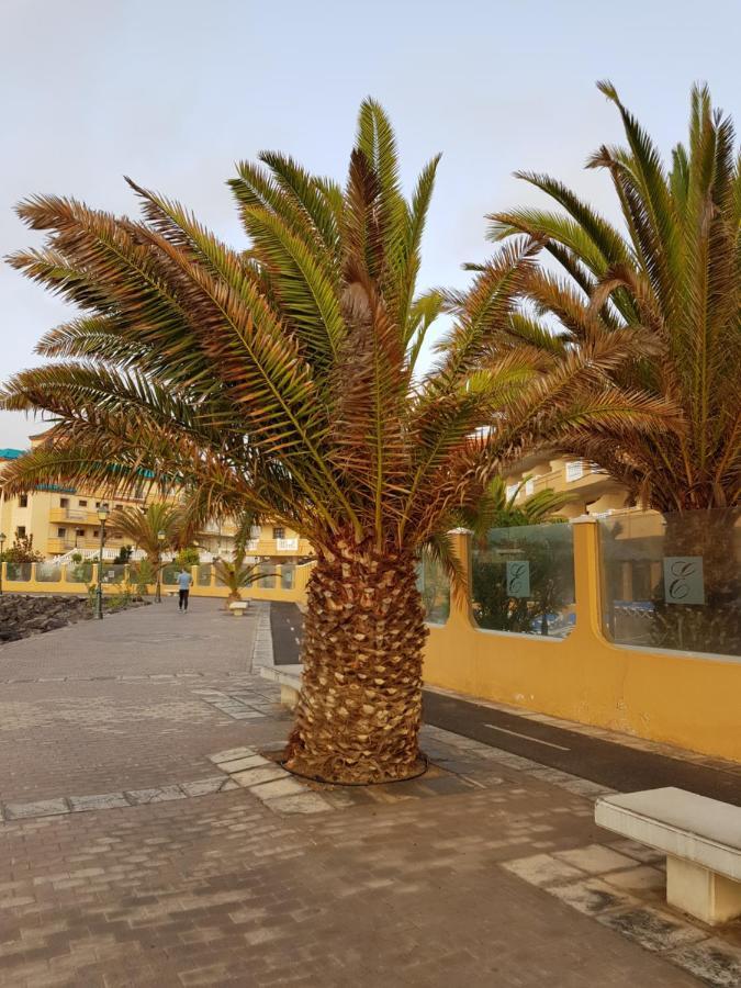 Apartament Casa Mia Caleta De Fuste Zewnętrze zdjęcie
